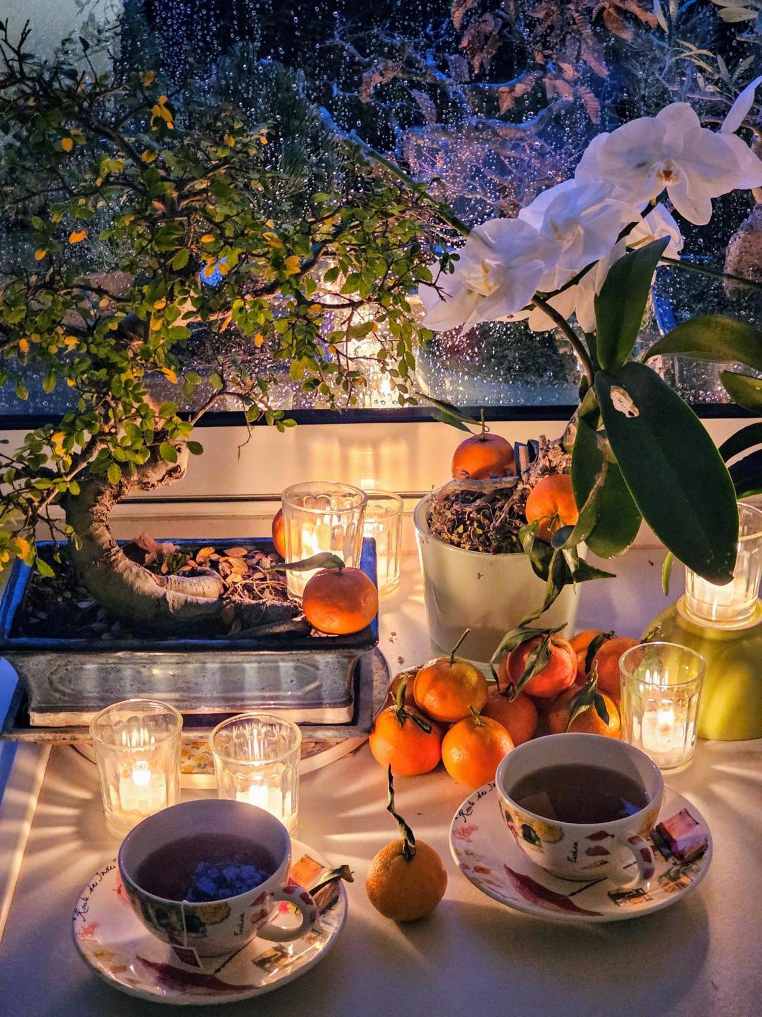 Terrasse De Malissol Διαμέρισμα Βιέν Εξωτερικό φωτογραφία