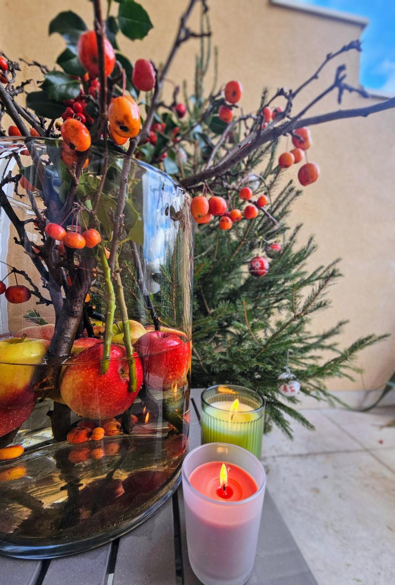 Terrasse De Malissol Διαμέρισμα Βιέν Εξωτερικό φωτογραφία